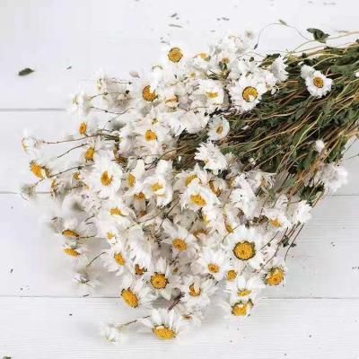 China Wholesale Fashion Touch Real Touch Natural Fresh Rodanth Wedding Decorative Dry Flowers Ludanniao For Bouquet for sale