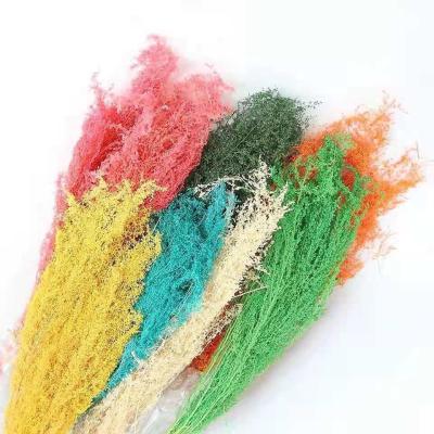 China Wholesale Natural Touch Flower Material Preserved Dry Mugwort Ordosica Flower Decorative Flowers For Wedding for sale