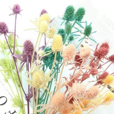 China Natural Wholesale High Quality Flower Bouquet Touch Flowers Immortal Eryngium Preserved Flower For Decorations for sale