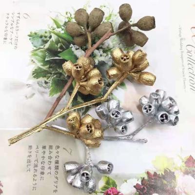 China Natural Preserved Immortal Eucalyptus Mini Fruit For Decoration Of Contact Natural High Quality Wholesale Flower Plants for sale