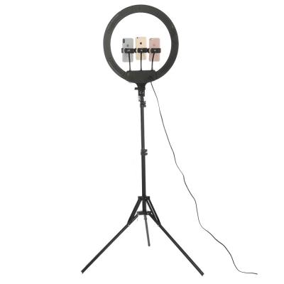 China Selfie Premium Beauty Photographic Lighting Lamp Powered Led Ring Light With Stand And Phone Holder for sale