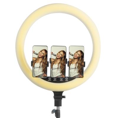 China Led Ring Lights 18in Curing Light Home Photography Stretchable Video Lamp for sale