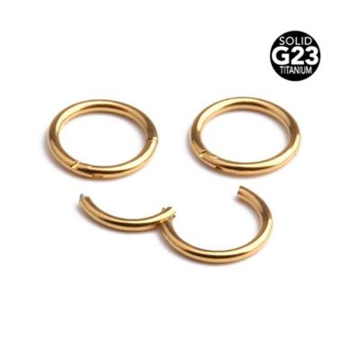 China Non Piercing G23 Pure Titanium Casual/Sporting Body Jewelry Hinged Segment Nose Ring Nasal Septum Ring For Everyone for sale