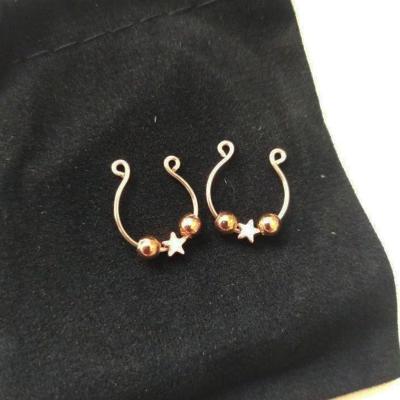 China 2021 Customs Romantic Gold Fake Nipple Ring Nipple Clamps Non Piercing Nipple Rings for sale