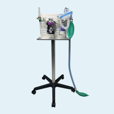 China Animal Anesthesia MACHINE Manage Portable Veterinary Anesthesia Machine For Veterinary Clinic for sale