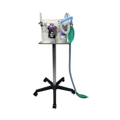 China Animal Veterinary Anesthesia Machine Manufacturer with Good Price for sale