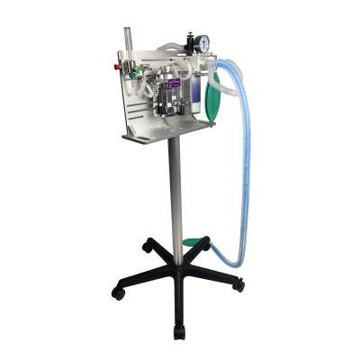 China Animal Anesthesia Machine Drager Dental Anesthesia Machine For Animal Clinic for sale