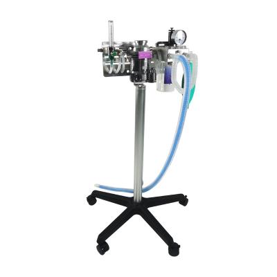 China Hot Sale Anesthesia Machine Veterinary Medical Equipment Used In Veterinary Clinic SV-1500 for sale