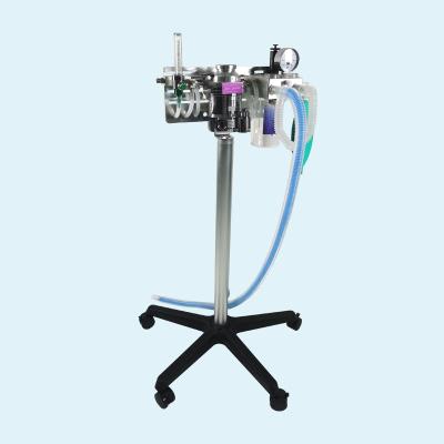 China Small Animal Medical Portable Operation Anestesia Anasthesia Machine Hospital ICU Surgical Emergency Equipment For Veterinary Hospital for sale