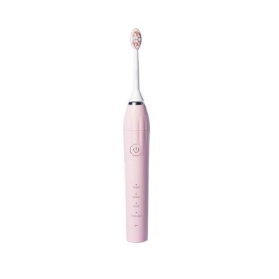 China Sonic Electric Toothbrush Electric Toothbrush Factory Sale Electric Toothbrush Quick Filling Direct Private Label for sale