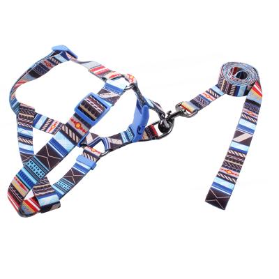 China Good Quality DETACHED Customized Floral Pattern Printing Polyester Dog Harness Leash Sets Excellent Fashionable Adjustable Plastic Buckle for sale