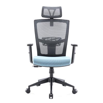 China (Height)New List Stereotyped Sponge Cushion Mesh Executive Chair Three Gear Adjustable Locking Chassis Mesh Chair for sale