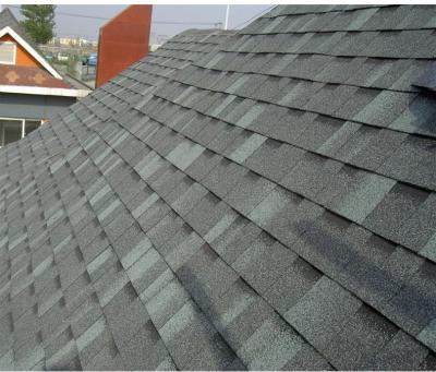 China Plain Shape Roofing Asphalt Shingle Windproof Fireproof Architectural Asphalt Shingles for sale