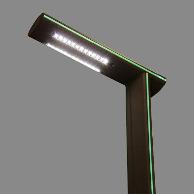 China Easily Assembled Garden decoration 3m 5m 6m height garden bollard light for sale