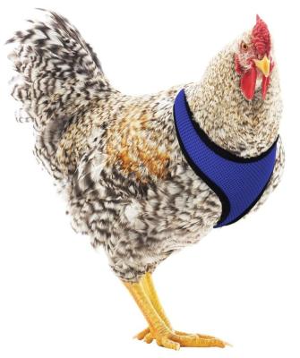 China DETACHED SHINE of YA Mesh Duck Chicken Harness Adjustable Soft for Hen and Rooster for sale