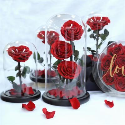 China 2021 Wholesale 2021 Natural Real Touch Eternal Rose Gift Hot Selling Preserved Roses In Glass Dome With Gift Box for sale