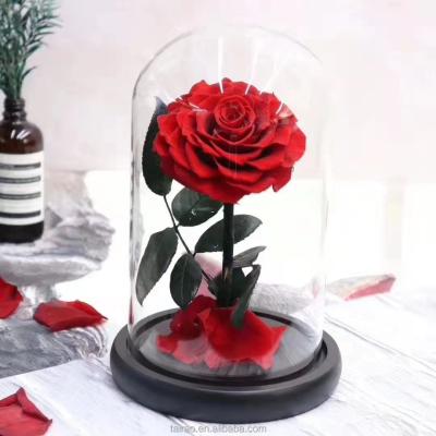 China Real Rose Yunnan Lead Industry Rainbow romantic preserved preserved Rose Pink Red Blue Forever roses preserved roses in the glass dome for sale