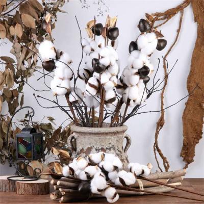 China Natural Touch Decoration Flower Preserved Flower Custom Eternal Cotton Porcelain Preserved Flowers for sale