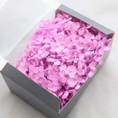 China Wholesale Custom Large Preserved Flower Leaves Preserved Hydrangeas In Box For DIY Decoration for sale