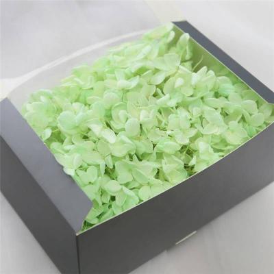 China Natural Eternal Flower Touch Wholesale Real Touch Large Leaves Preserved Hydrangea In Box for sale