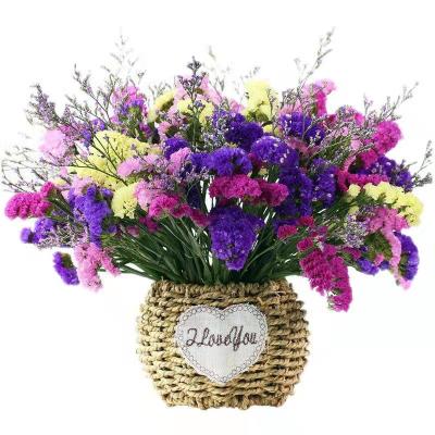 China Flower Arrangement Decoration Preserved Flower Wholesale Colorful Preserved Flower Real Forget-Me-Not Flower For Wedding Decoration for sale