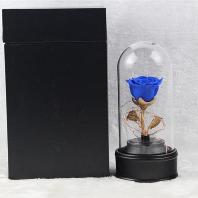 China Natural touch wholesale high quality fashion led light dry preserved flowers in glass dome for sale