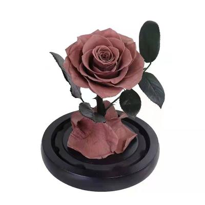 China Contact Wholesale Natural Preserved Roses Preserved Lasting Eternal Rose Preserved Rose In Glass Dome for sale