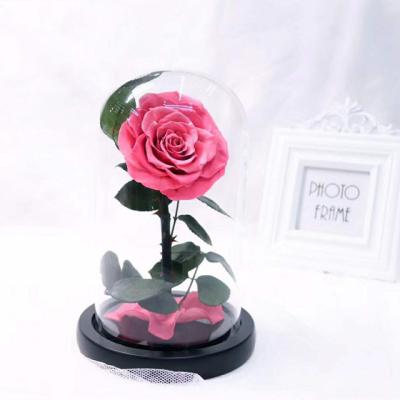 China Discount Limited Time Touch Eternal Rose Stem Natural Perpetual Rose Small Prince In Glass Dome for sale