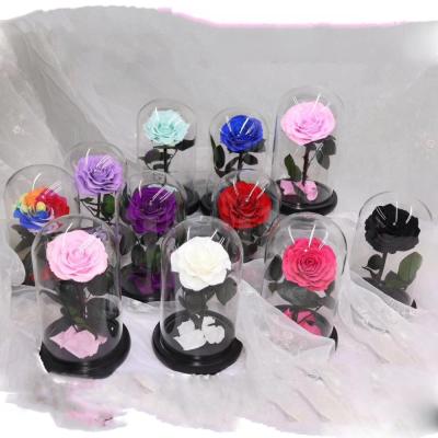 China Contact Wholesale Natural Preserved Roses Real Preserved Eternal Rose Gift Rose In Glass Dome for sale