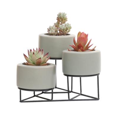 China Wholesale CLASSIC Modern Indoor Metal Plant Table Potted Plant Display Rack Succulent Rack for sale