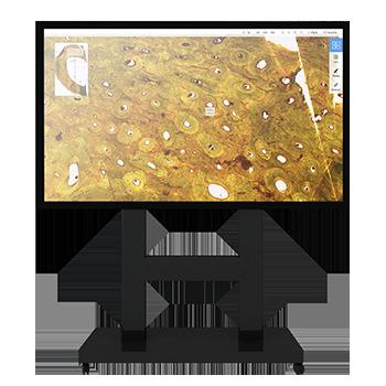 China DIGIHUMAN Teaching Platform System Morphology Histology Pathology ECDH-International TP (Standalone) for sale