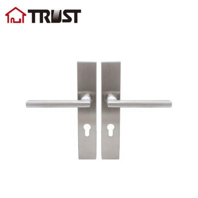 China TRUST TP01-S72EUTH032SS SUS304 Modern Tube Lever Type Door Handle With Plate for sale