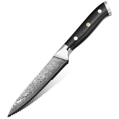 China Viable E-commerce 67 Layers AL-JDH10 5Inch VG10 Damascus Kitchen Japanese Steak Knife For Slicing Meat for sale