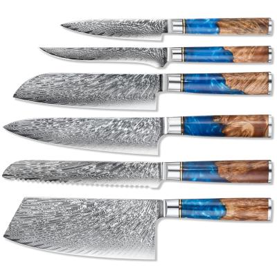 China Viable Japanese Knife Set Chef VG10 Damascus 6-11pcs Knife Set AL-RD02 With Heavy Duty Resin Handle for sale