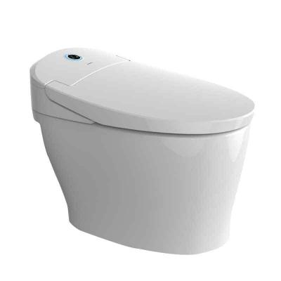 China Automatic Operation Asia China Chaozhou Bathroom Ceramic Flush Double Washdown One Piece Toilet for sale