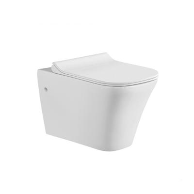 China Automatic Operation Middle East Market White Ceramic Toilet Hot Running With Color Decorate for sale