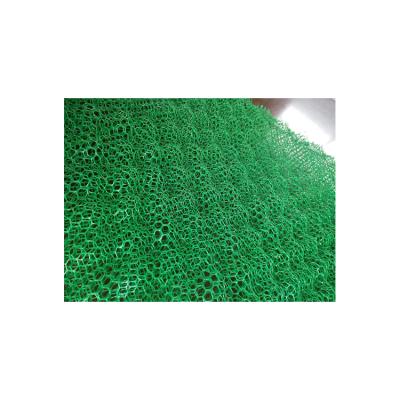 China Modern Barrier Grass Seed Mats Anti Erosion Mat Plants Protective Layer HDPE Erosion Control Mat for sale