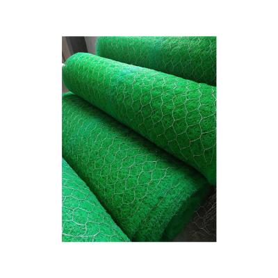 China Modern Erosion Control Mat Plants Protection Layer HDPE Erosion Control Mat Barrier Grass Seed Mats for sale