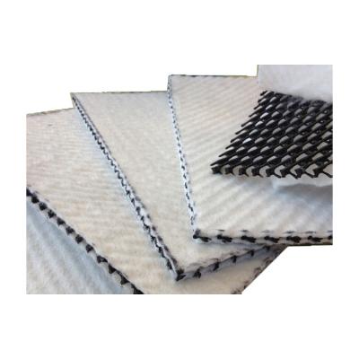 China Factory Supply Modern Direct Geocomposite Drainage Net Geocomposite Sheet for sale