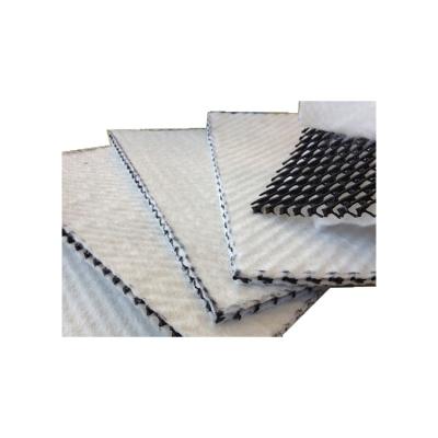 China Factory Price Newest Modern Geocomposite Drainage Net Geocomposite Sheet for sale