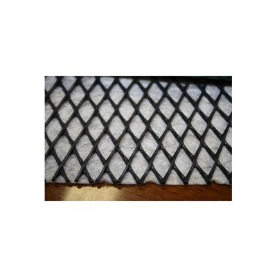 China Good Quality Modern Geocomposite Drainage Sheet Geocomposite Drainage Net for sale