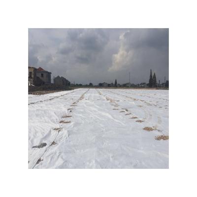 China Modern High Strength Geocomposite Geotextile For Soil Reinforcement for sale