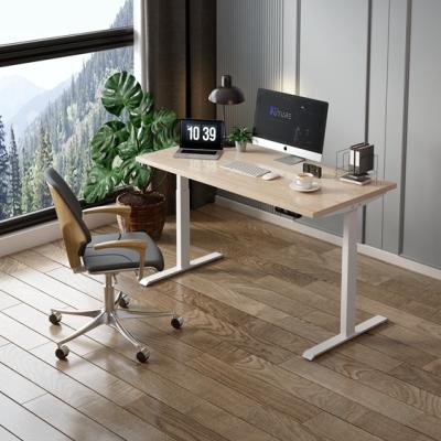 China Electric Height Adjustable Freestanding Standing Study Tables Hydraulic Computer Lift Modern Desk for sale