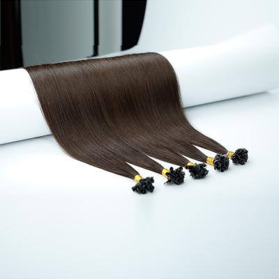 China Popular Hot Sale Wholesale Silky Straight U Wave Tip Hair Extensions Hair In Factory Price Keratin Hair Extensions for sale