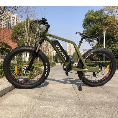 China 6061 Aluminum Alloy SN100 Fat Tire High Strength Electric Bike Mountain Bike USA Electric Warehouse for sale