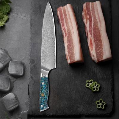 China Luxury Viable Resin Handle 8 Inch VG10 Damascus Steel Kitchen Knife Japanese 67 Layers Chef Knife for sale