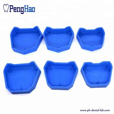 China 6 Pcs /Set Department of Stomatology,dental denture base silicone rubber impression material filling gypsum for sale