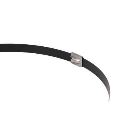 China Fixable UV Resistant Polyester Coated Black Stainless Steel Cable Ties for sale