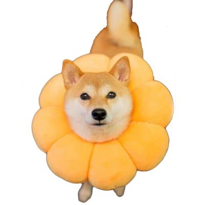 China Anti-licking Cat And Dog Universal Headdress Elizabeth Circle Sunflower Shiba Inu Pet Cover Viable Head Sterilization Anti-licking Headgear for sale