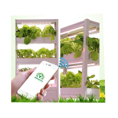 China Farms Water Wall Hydroponic System Growing Systems Culture Soilless Planting Box for sale